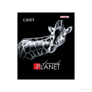 Caiet 48f prostand coperta color tpr 48 -tc 1/12 01 linie mare