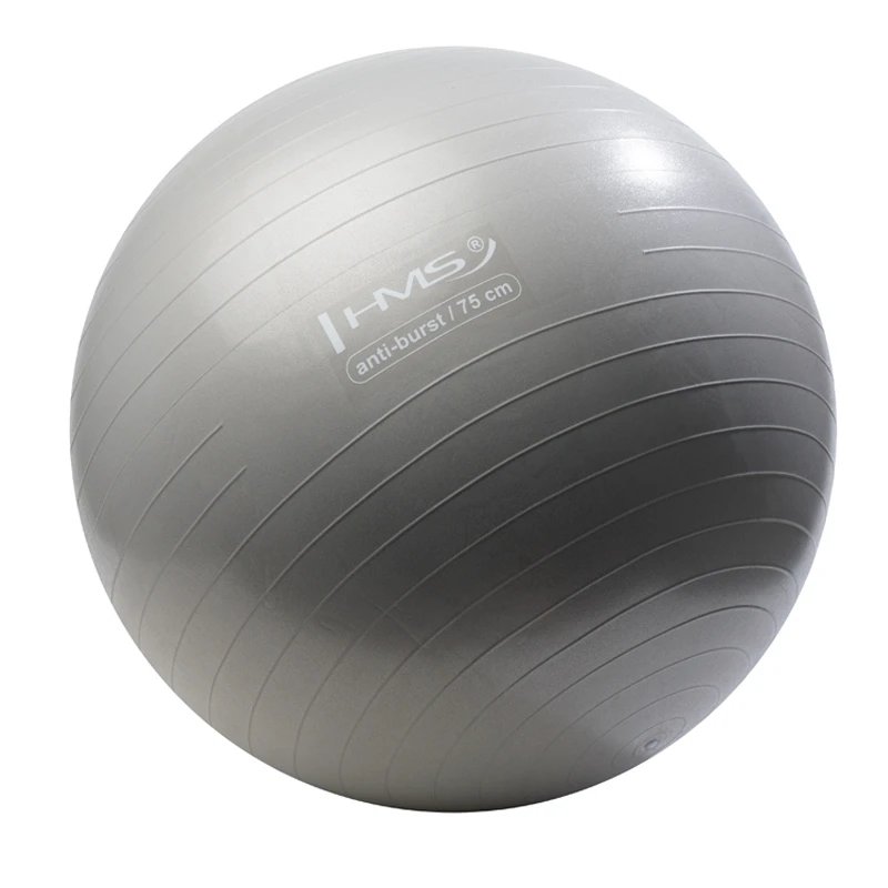 Minge gimnastica d=75 cm hms cu pompa gray yb02 2