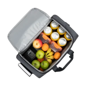 Geanta frigorifica resto 5519, 19l, grey Thumbnail 11
