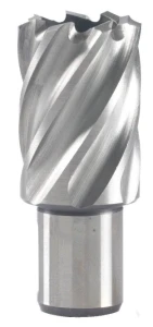 Carota pe metal 12 x 30 mm
