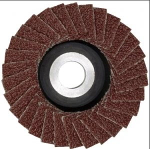 Disc lamelar d50 mm, gr.100, p/u lhw + lhw/a
