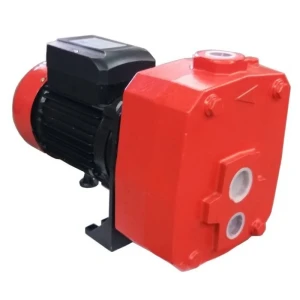 Hidrofor motor autodp505b elefant