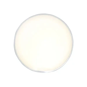 Felinar led 16 w led 4000 k 220 - 240 v ip20 elmos