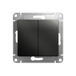 Întrerupător dublu glossa 10 a 250 v antracit schneider-electric Thumbnail 1
