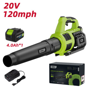 Suflanta de frunze fara fir deli 20v